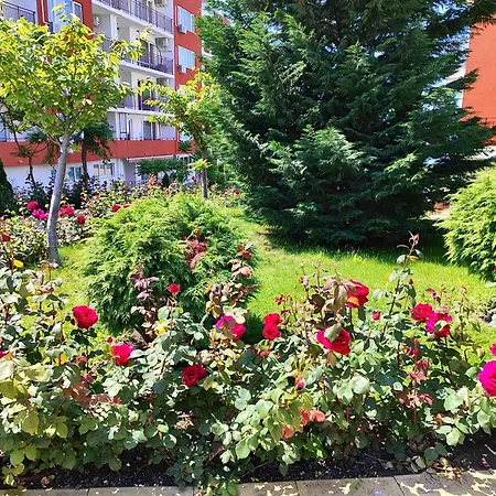 Aria Private In Noks Grand - Saint Vlas Elenite