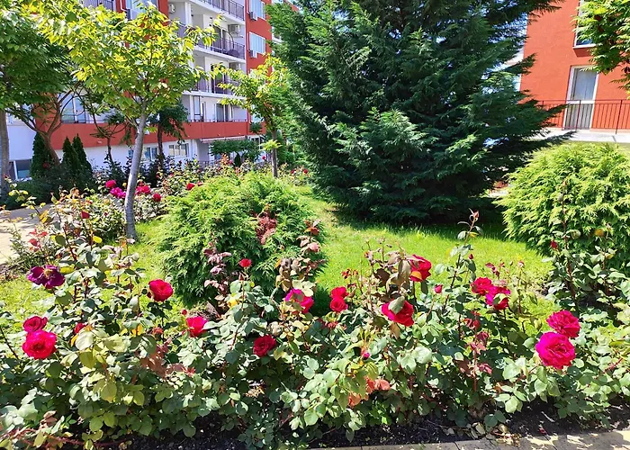 Aria Private In Noks Grand - Saint Vlas Elenite